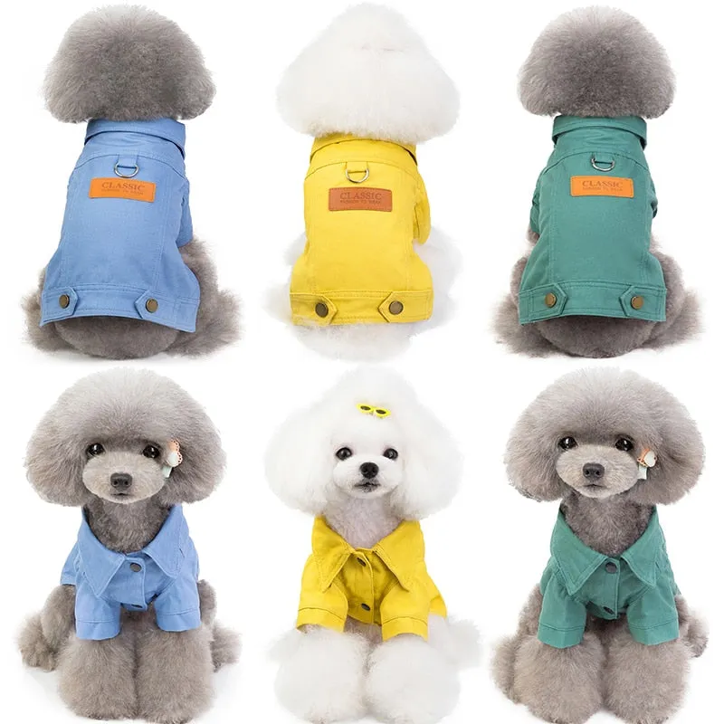 Winter Dog Jackets - Denim and Trench Coat