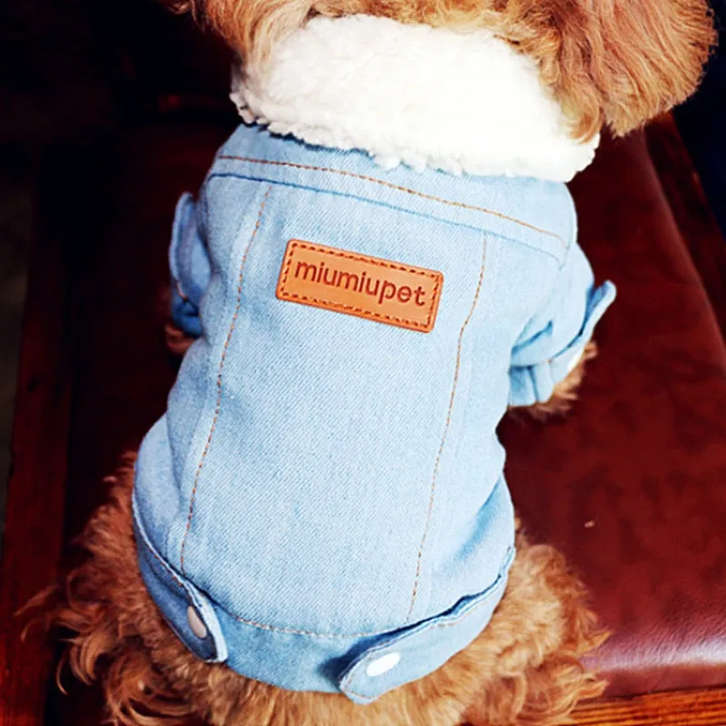 Winter Dog Jackets - Denim and Trench Coat